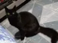 Lucy