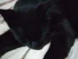 Lucy