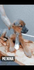 Tóquio