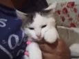Nhonho