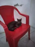 Lua