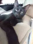 Mirra