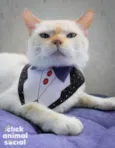 Brian