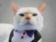 Brian