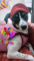 Paty