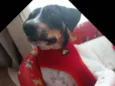 Paty