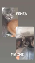 Xxxx