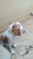 billy