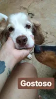 billy