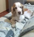 billy