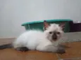 Huguinho