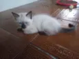 Huguinho