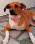 Mel