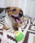 Mel