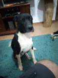 Óreo