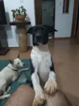 Óreo