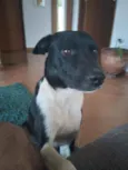 Óreo