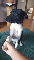 Óreo