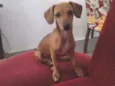 Mel