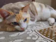 Mia