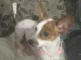 Lulu