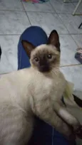 Cleópatra