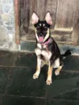 Bella