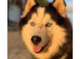 Lunna