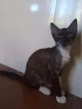 Fred