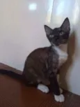 Fred