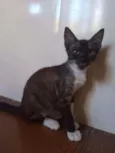 Fred