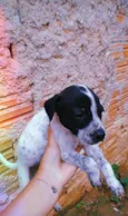 Não tem