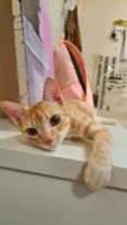 Leon
