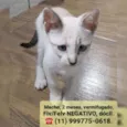 Miguel