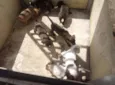 Filhotes de cachorro