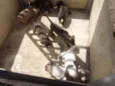Filhotes de cachorro