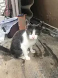 Tina