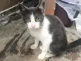 Tina