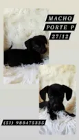 JACK