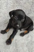 JACK
