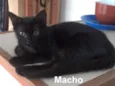 PELUDINHO