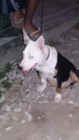 Jack
