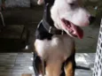 Jack