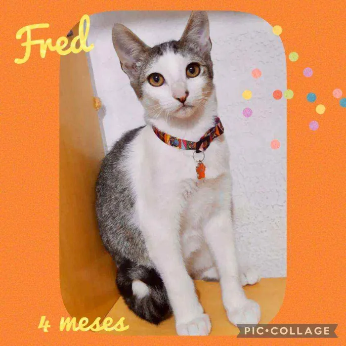 Fred