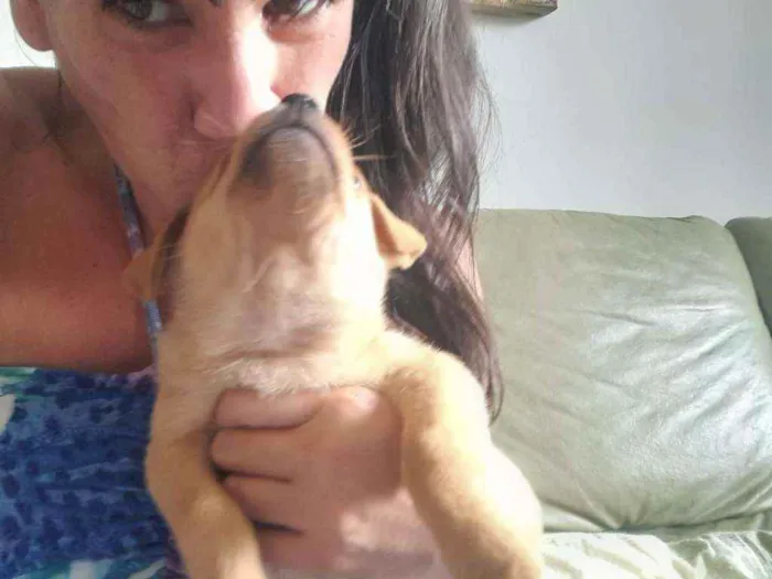 Cachorro raça Srd idade Abaixo de 2 meses nome Olívia 