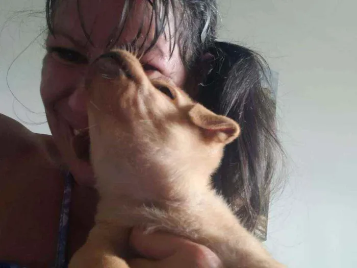 Cachorro raça Srd idade Abaixo de 2 meses nome Olívia 