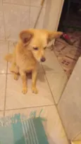 Pablo