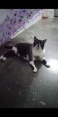 Tom