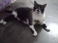 Tom