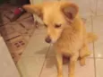 Pablo